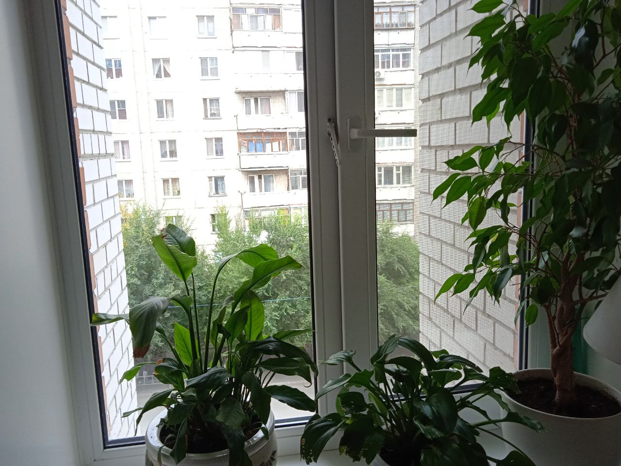 https://pushkino.delaem-okna.ru/storage/app/uploads/public/63f/332/8c0/63f3328c0d6f7867060515.jpg